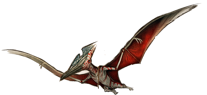 Ptera 2